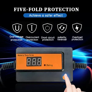 골프 카트 자동 펄스 납산 배터리 탈황기, 보트 자동차 및 트럭용, 12V ~ 48V