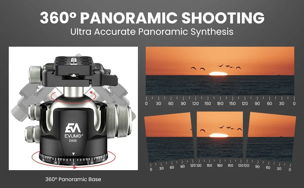 DX55-P Professional Tripod Ball Head Aluminum Panoramic 55mm Ball for Tripod Mon