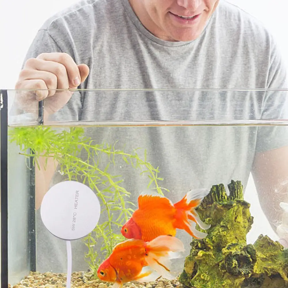 

5/10w Mini Fish Aquarium Heater Precise Temperature Control Pets Water Dispensers Heating Rod For 2-3l Water Volume X0f2