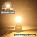Warm YW With WY