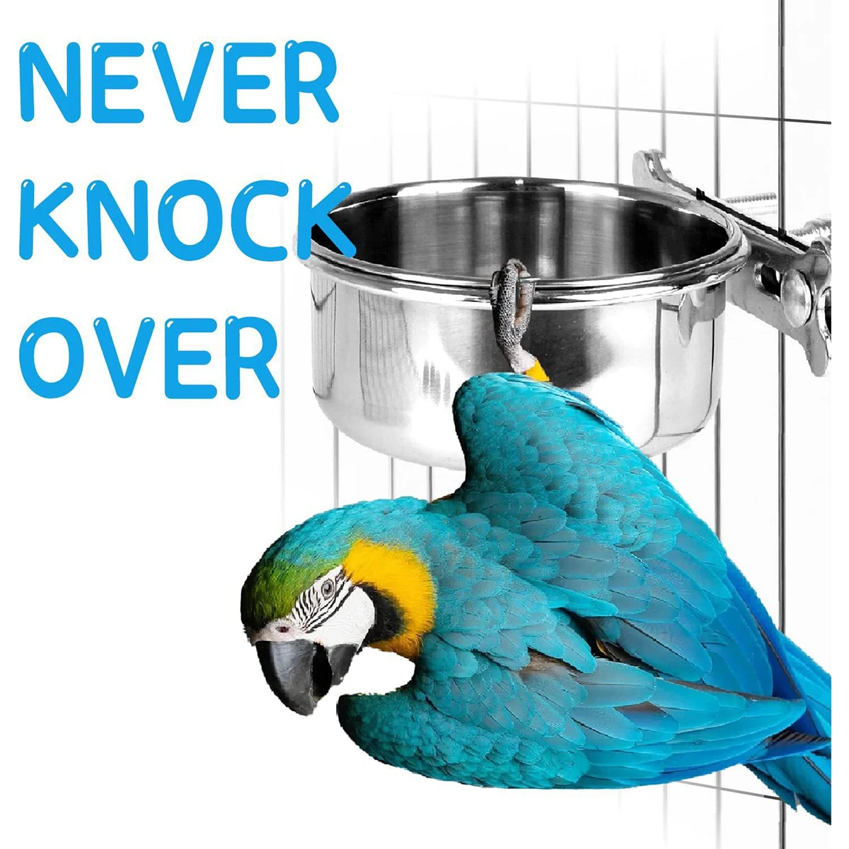 Stainless steel food basin food box bowl water basin water cup trough bird specific feed anti spill cup