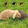 Cat Safety Protection Fence Pet Anti-Fall Netting Fence Cat Dog Nylon Protective Transparent Mesh Nylon Balcony Protective Fence 5