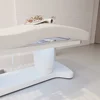 Heating 4 Motors Electric Control Luxury Massage Bed Cosmetic Spa Bed With Light And Chair 2