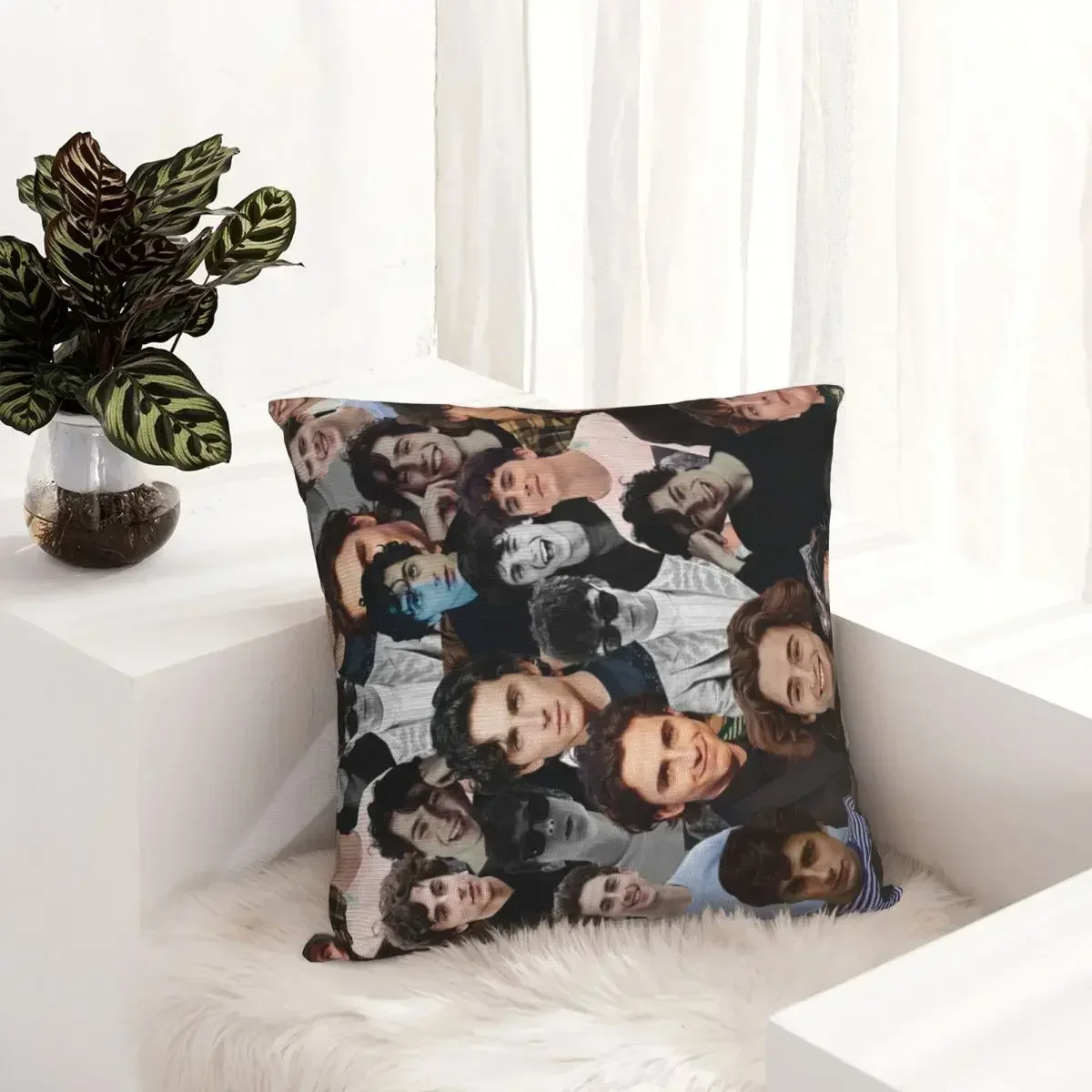 Timothee Chalamet photo collage Throw Pillow Cushions For Sofa Luxury Sofa Cushions pillow covers decorative 5