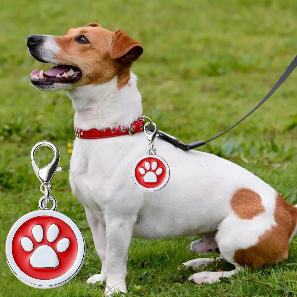 Dog Collar Address Tags for Dogs Medal with Engraving Name