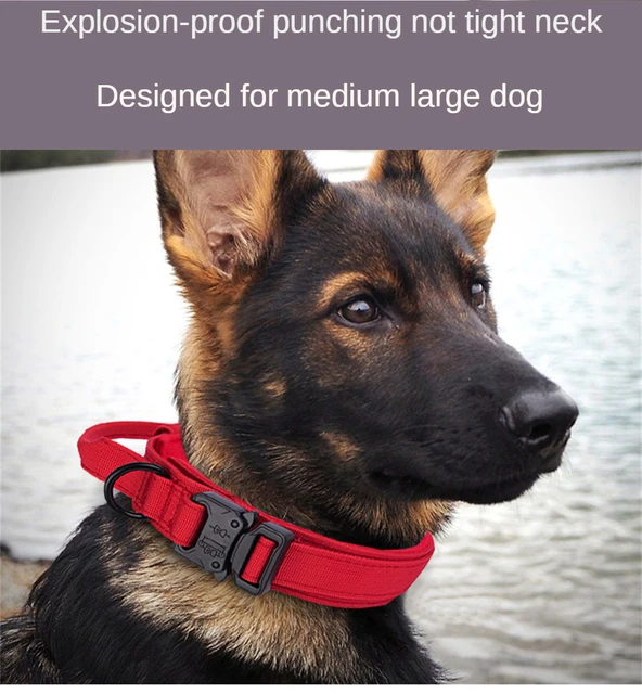 Tactical Dog Collars Best Training Collars For German Shepherds