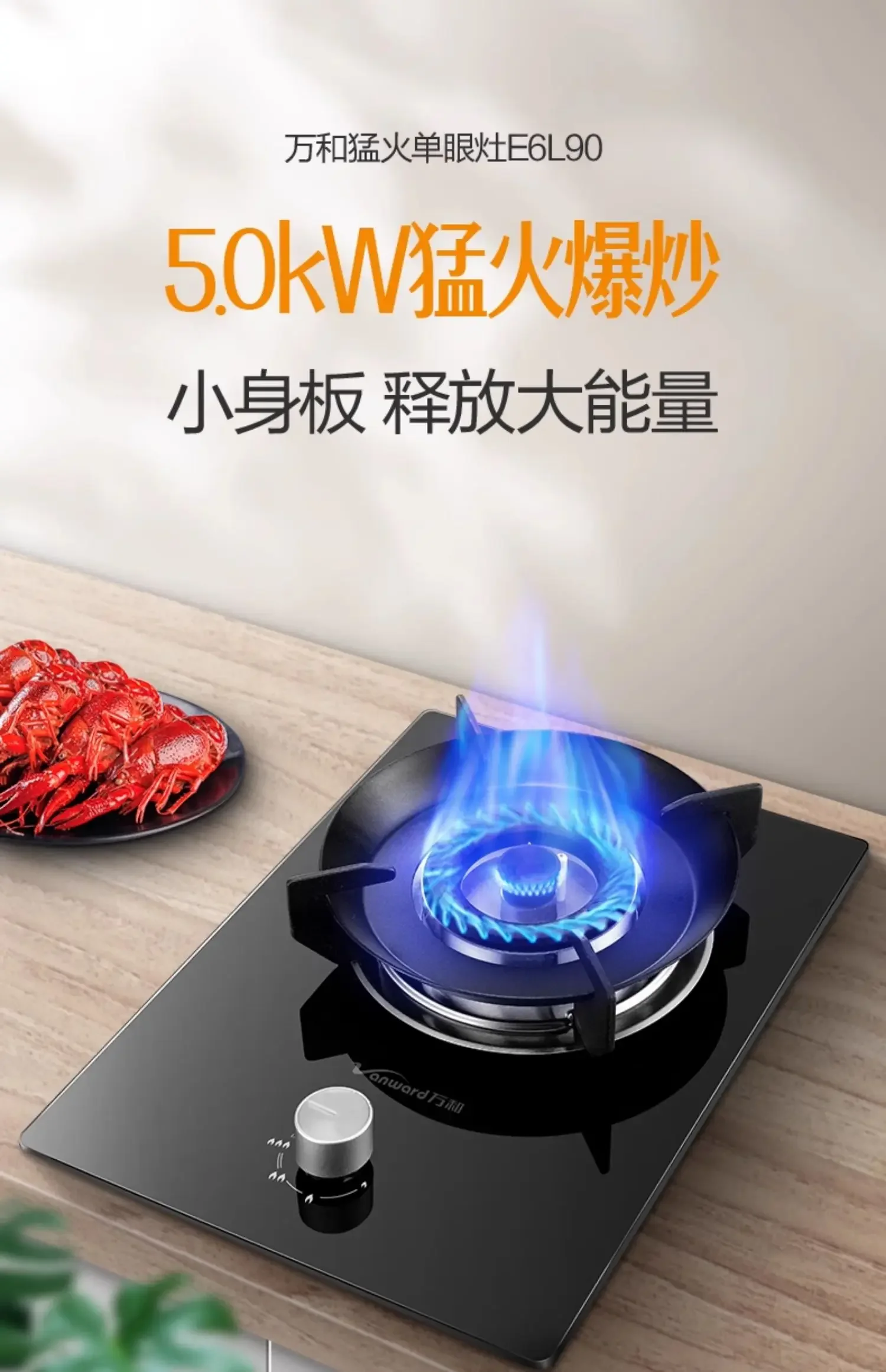 Vanward Gas Stove E6 - Natural Gas/Liquid Propane Single Burner Stove for Fast and Even Cooking 3