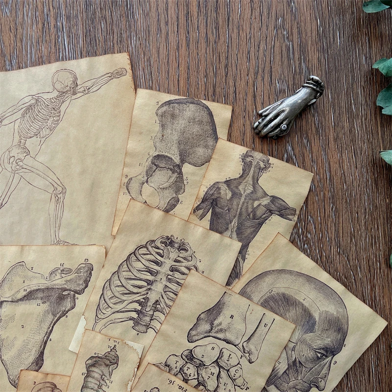 17 Piece Handmade Coffee Dyed Paper Skeleton Human Anatomy Material Paper Pack Junk Journal Ephemera Album Scrapbooking Material
