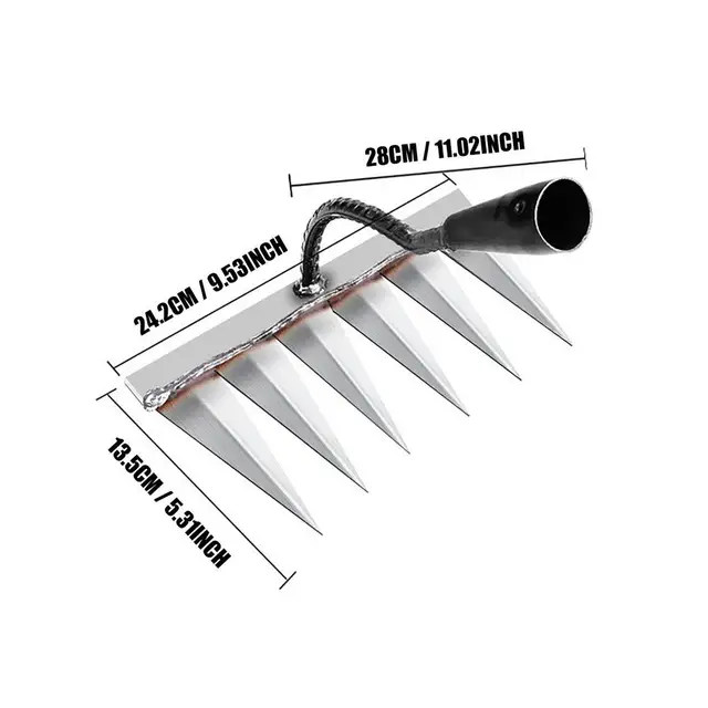 as shows 6 tooth