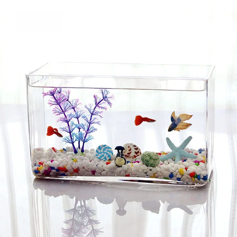 ガラスOF水槽 No.375 ガラスOF水槽 No.375