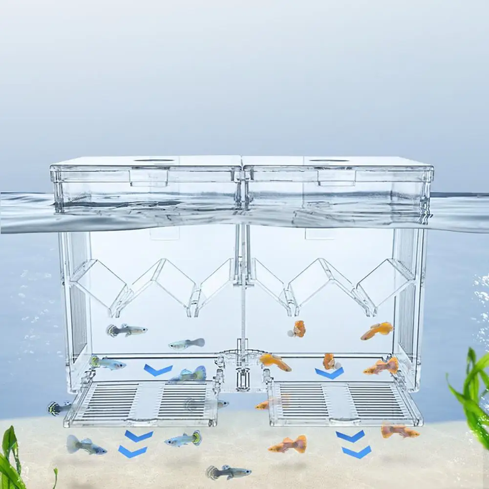 Klares Acryl Mini Aquarium mit abnehmbaren geteilten Fächern Kindergarten  Aquarium Fisch Aquarium Züchter Box für Fisch garnelen - AliExpress