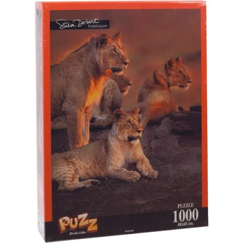 Puzz K.Color 68*48 1000 li лобзик львов (Дербент сюха) | Игрушки и хобби