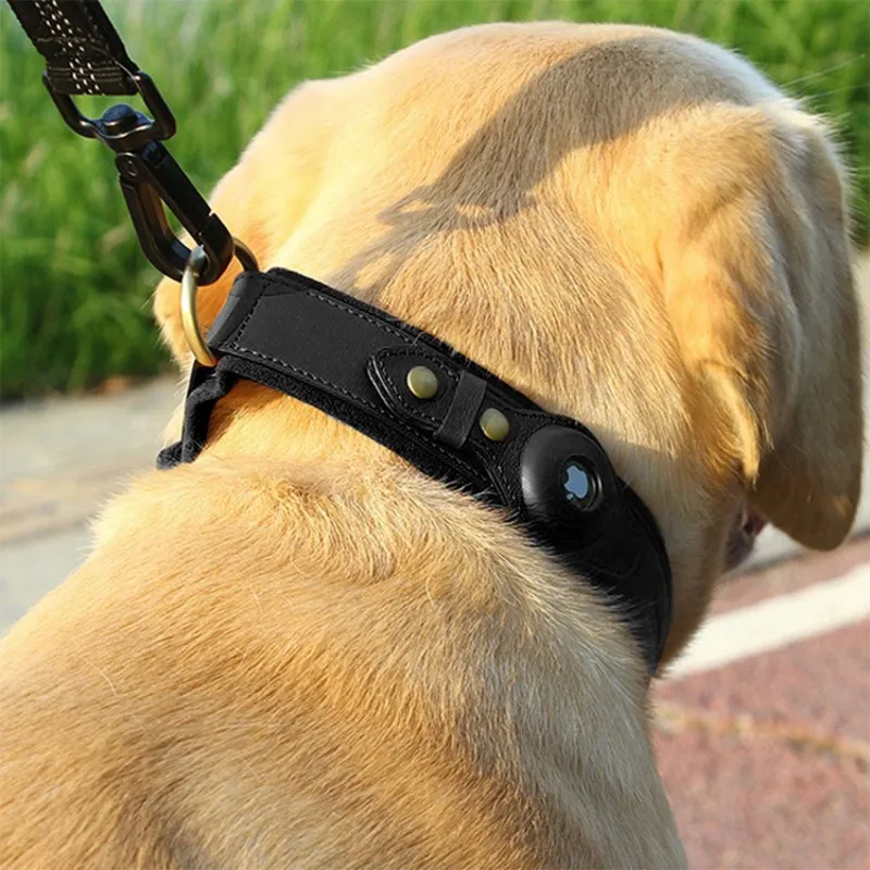 DogtrackercollarAppleairtagdogcatpositioningcollarCowhidepet
