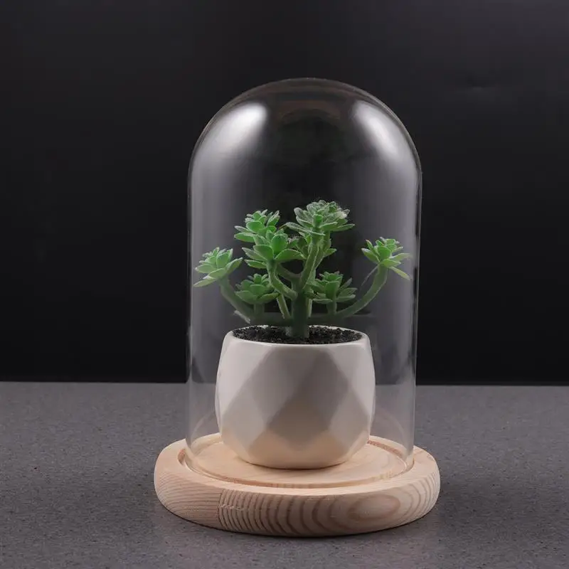 Glass Display Dome 12X Glass Dome Flower Jar Bell Cloche for Christmas Decoration
