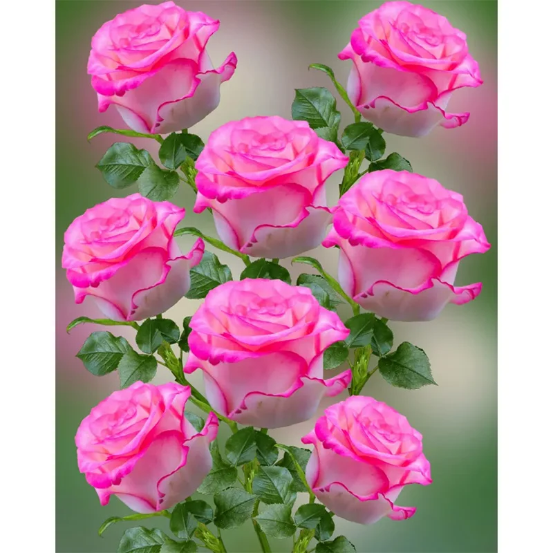 Description Picture 4 of itemHOMFUN Diamond Embroidery "Flower Rose" Pattern DIY 5D Diamond Painting Needlework Cross Stitch Full Drill Painting