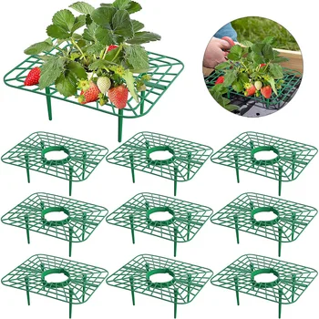 Square Strawberry Support Stands 1