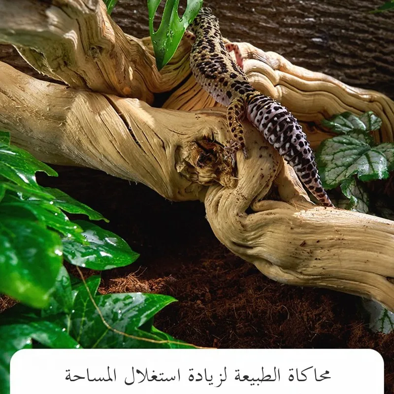 Dragon Patterned Vine Wood Bonsai Tree Roots Reptile Breeding Tank Decoration Real Wood Lacape Supplies for Aquatic Equipment