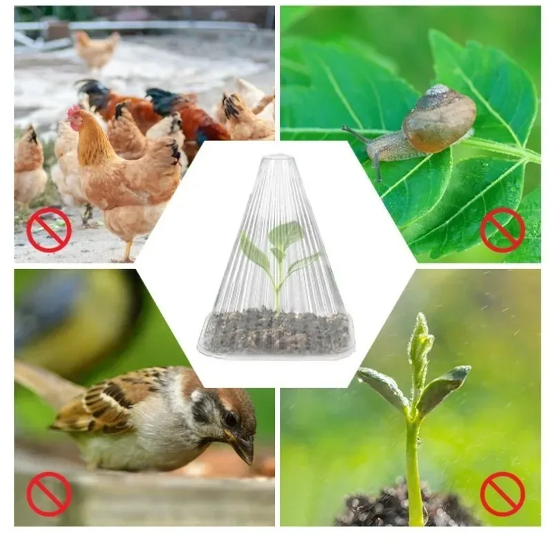 Set of 20 Reusable Windproof and Antifreeze Seedling Covers for Garden Plant Protection