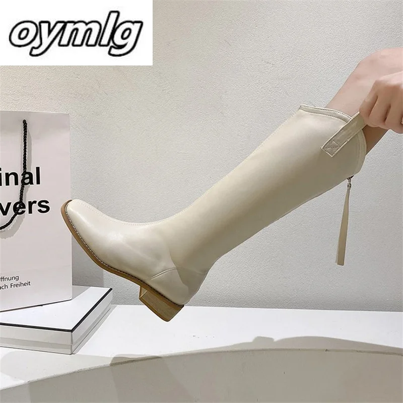 

2023 Autumn/Winter New Square Heel Back Zipper Low Heel, Knee Length, Plush Plus One Piece