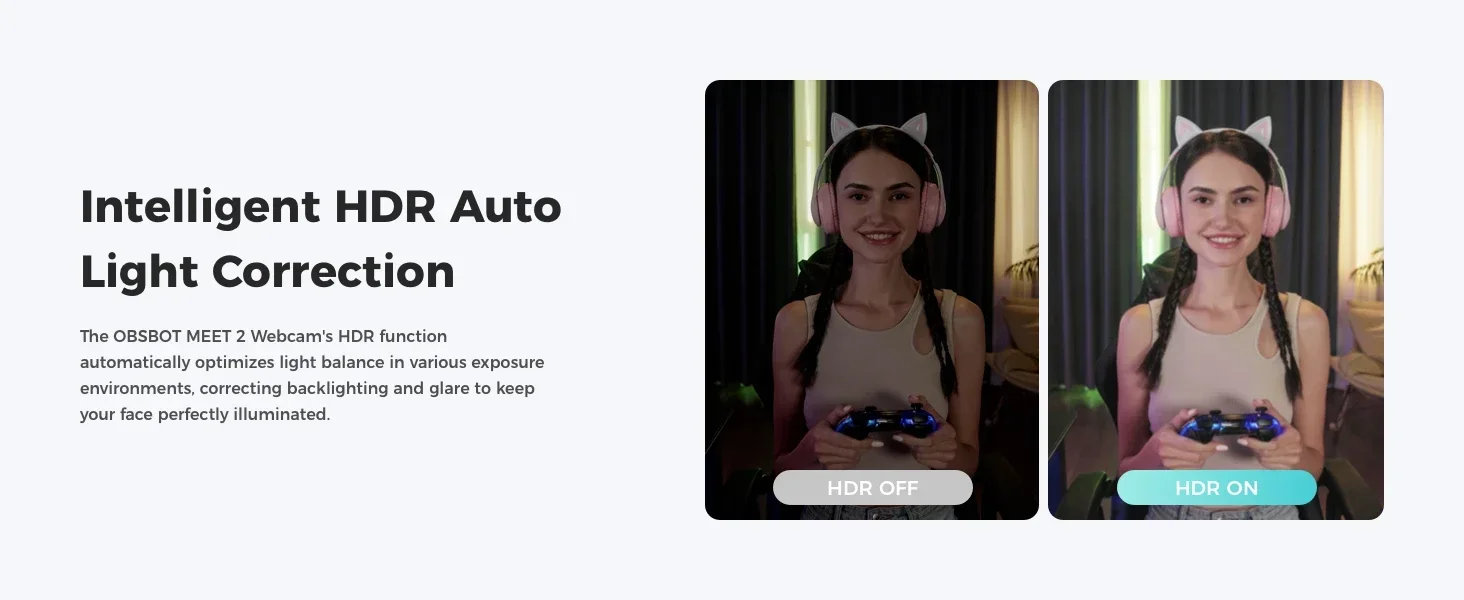 OBSBOT Meet 2 Webcam 4K AI Framing & Auto Tracking, 1/2" Sensor, 60FPS, Auto Foc