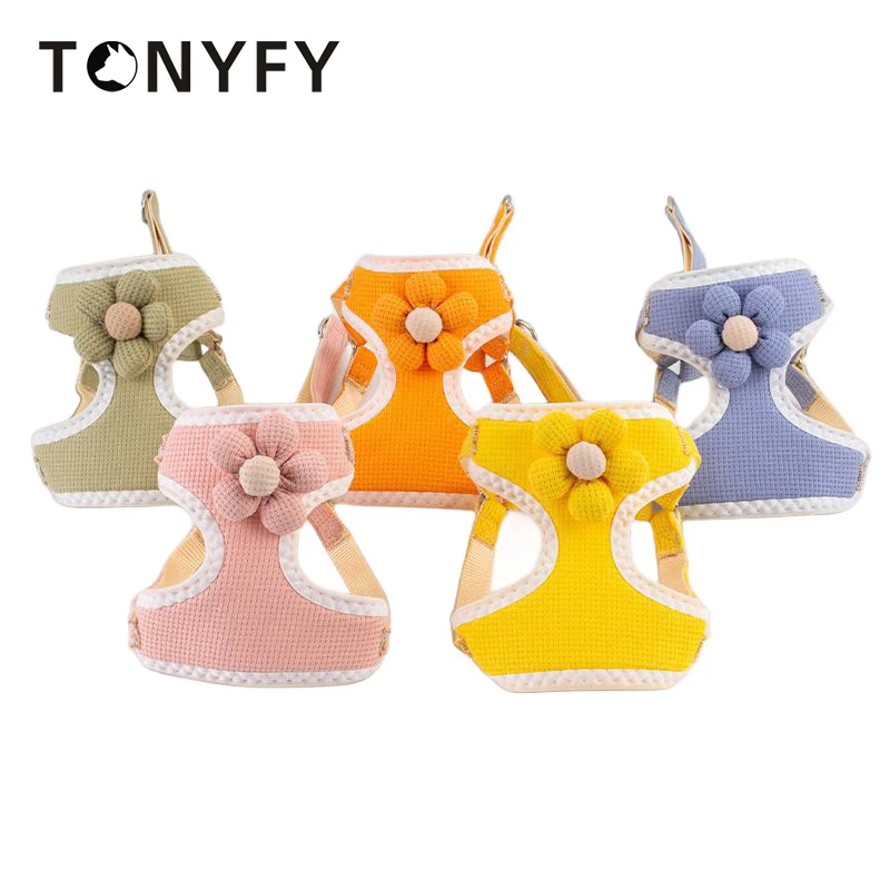 Confezione Da 2 Imbracature Per Gatti Con Guinzaglio - Pettorine Regolabili In Nylon Morbido Per Gattini E Cuccioli