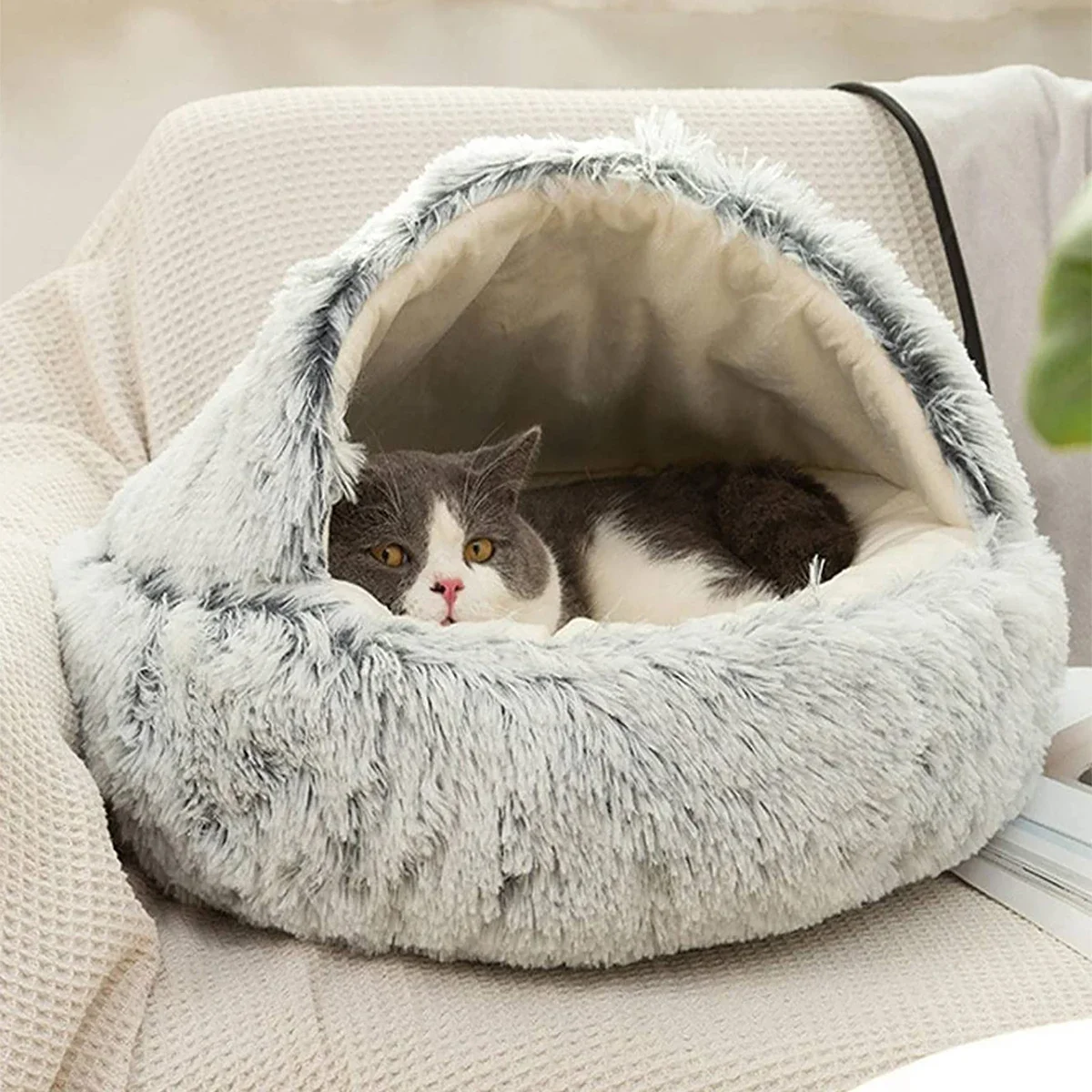 pet bed 3