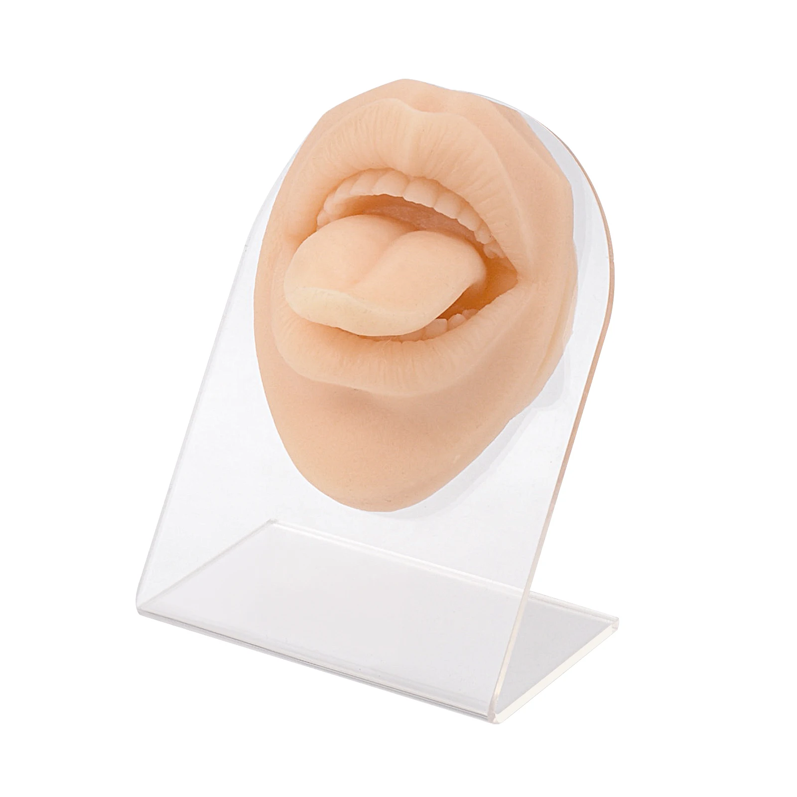 Simulate mouth model perforation, puncture, suture practice, mouth model, lip nail, nail display model