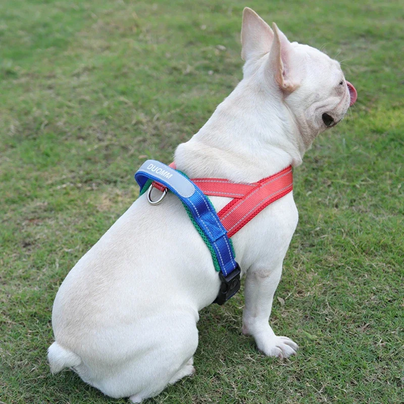 Dog Harnesses Types Of Collars Dog Different Types Of Dog Collars