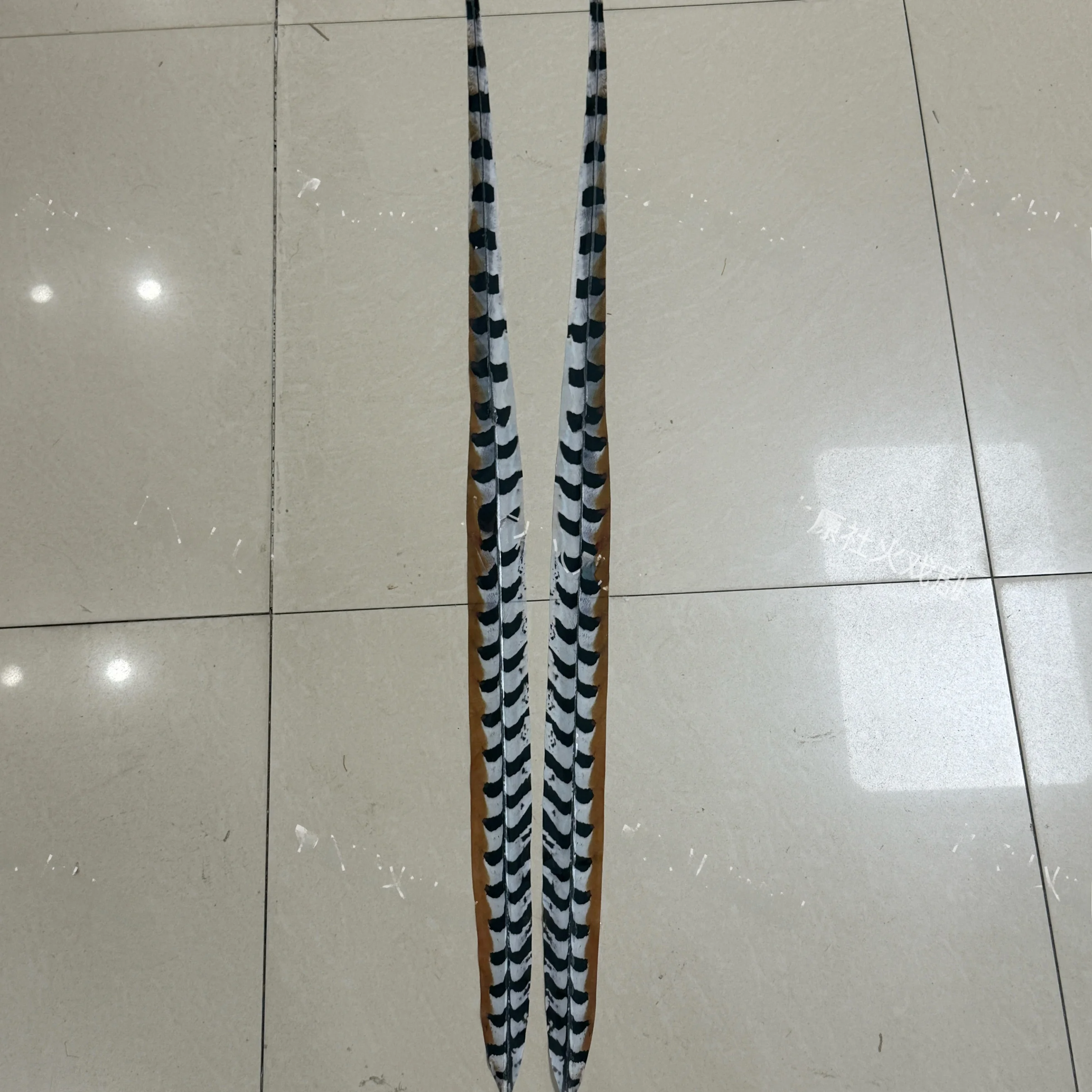 Authentic Ultra Reatic Feathers Profional Opera Dance Headwear Accories Wild Pheasant Bird Feathers Theatre Supplies