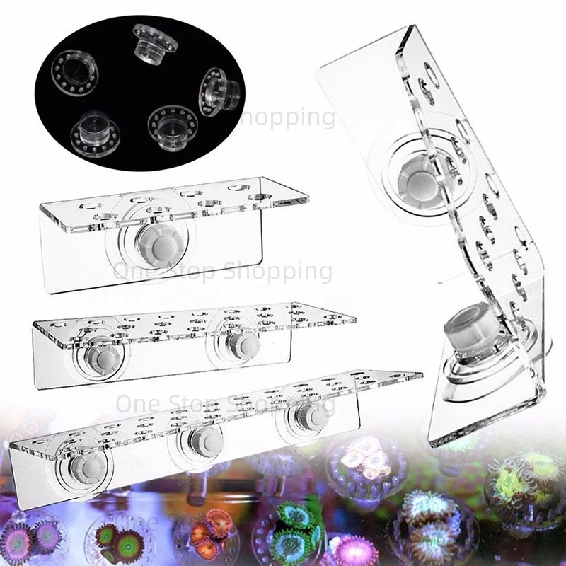 Marine Sources Aquarium Clear Acrylic Coral Frag Plugs Rack Holder SPS Coral Support Seawater Fish Tank Accessories