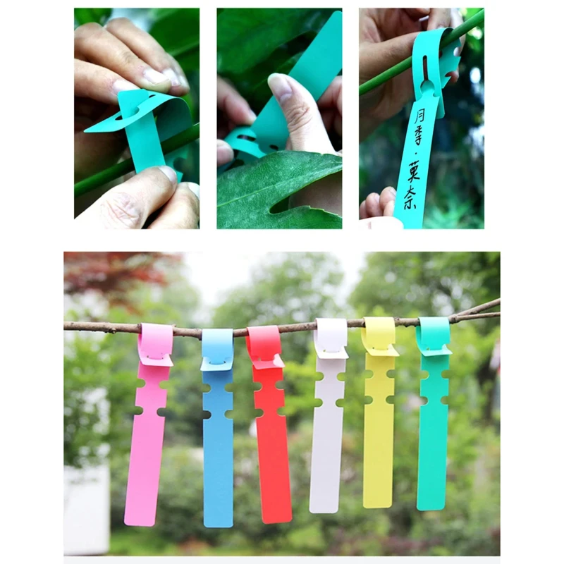 Description Picture 5 of item100PCS Waterproof Plant Markers Plastic Plant Hanging Tags Gardening Plant Marker Label Tools Garden Pots & Planters Supply