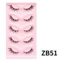 ZB51-1