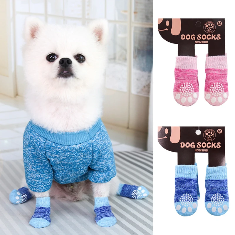 Dog Socks - Why Socks for Dogs