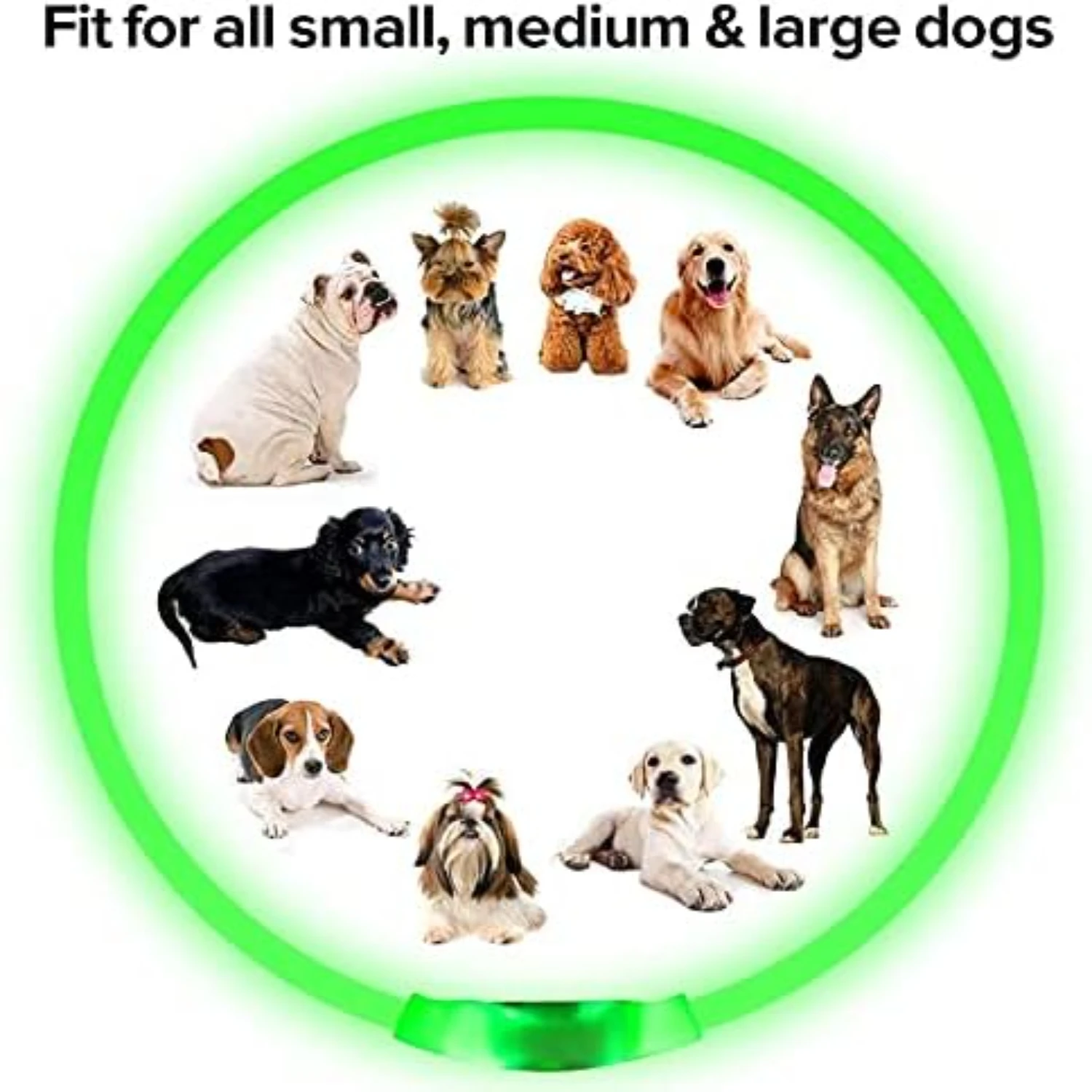 LISM LED Dog Collar - Image 4