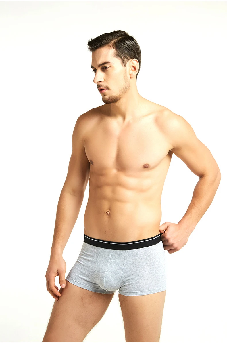 4 stücke männer Höschen Sexy Shorts Baumwolle Unterwäsche Männlichen Atmungsaktive Boxer Solide Boxershorts Marke Unterhosen – Detail 29
