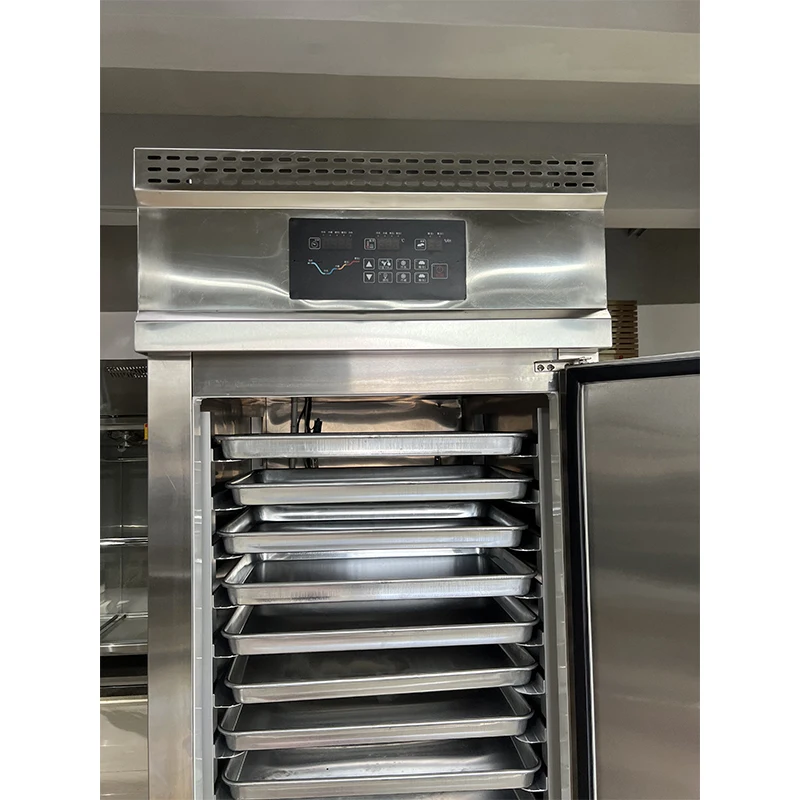 Wholesale Price Commercial Fridge Refrigerator Single Door Refrigeration Equipment Freezers Stainless Steel Chest Freezer Deep - Image 5