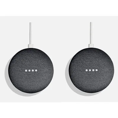 Google Nest 40mm Mini Original Driver 