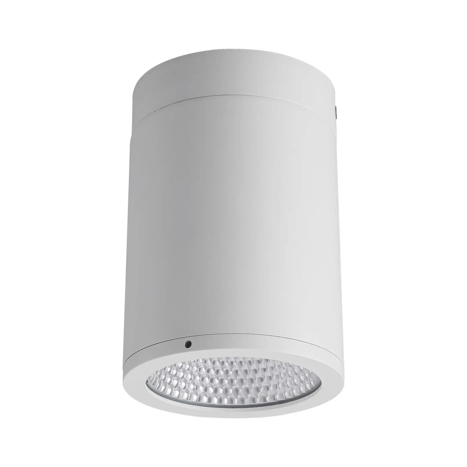 IP65 COB led 30W outdoor Surface Mounted die-cast aluminum round spot downlight