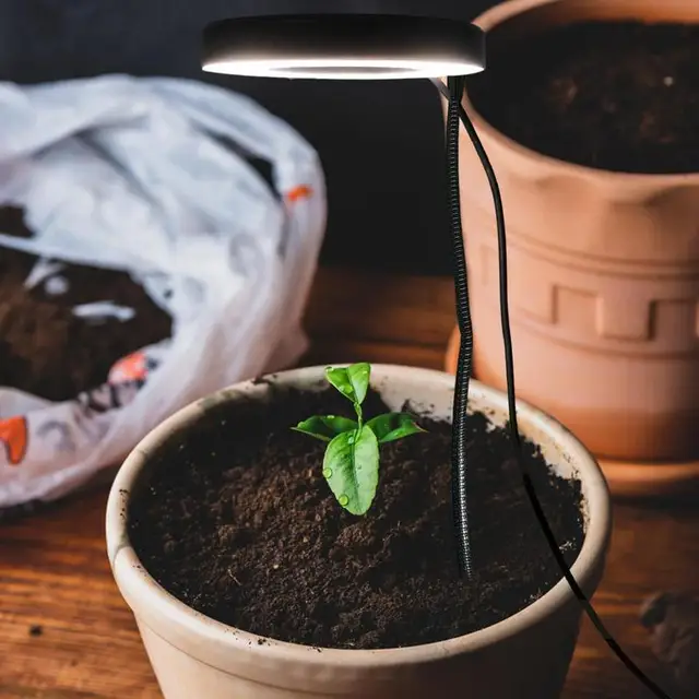 Teljes Spektrum Grow Light 4 Fényképesség Módok Usb Plant Lighting 360 Hosszú Nyakú Fej Világítókészülékek 4/8/12 Órás Időzítés Funkció - Image 3