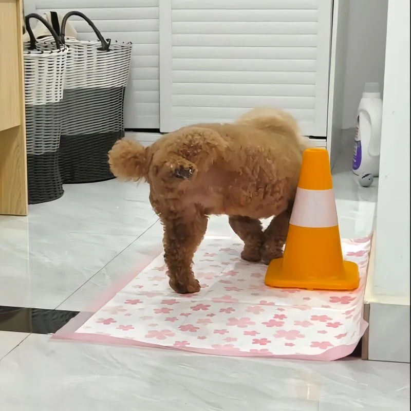 Toilette per cani per guidare il processo di urinazione, evitare l'urinazione indiscriminata, lavabile, riutilizzabile, ecologica, per l'addestramento dei cani, accessorio per animali domestici - immagine 4