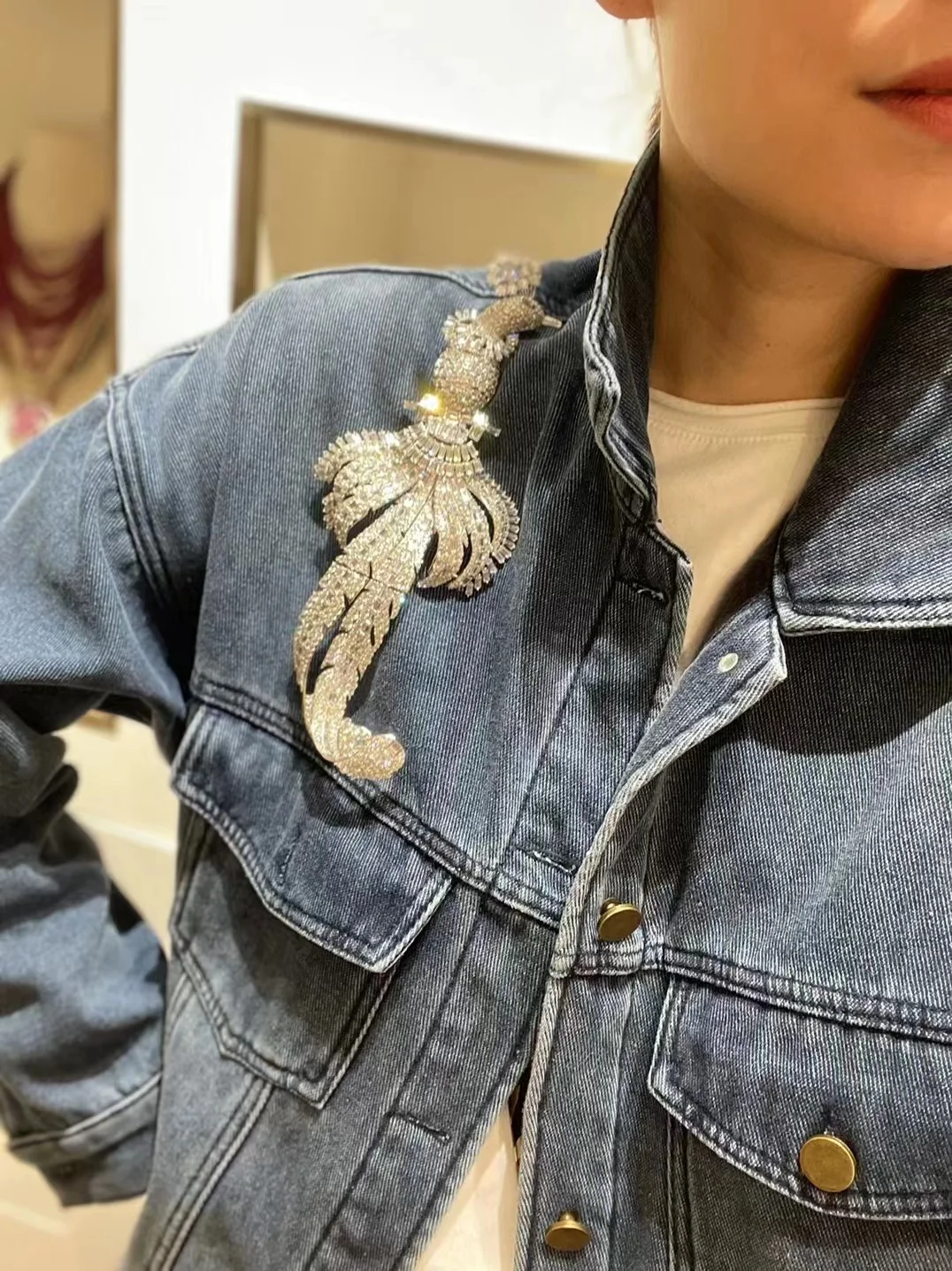 big brooch luxury exaggerate bird phoenix brooch 925 sterling silver with cubic zircon vintage fine women jewelry 23*8CM 18 S5ac3db895cb74b72a933b5addec9bdc1g big brooch luxury exaggerate bird phoenix brooch 925 sterling silver with cubic zircon vintage fine women jewelry 23*8CM