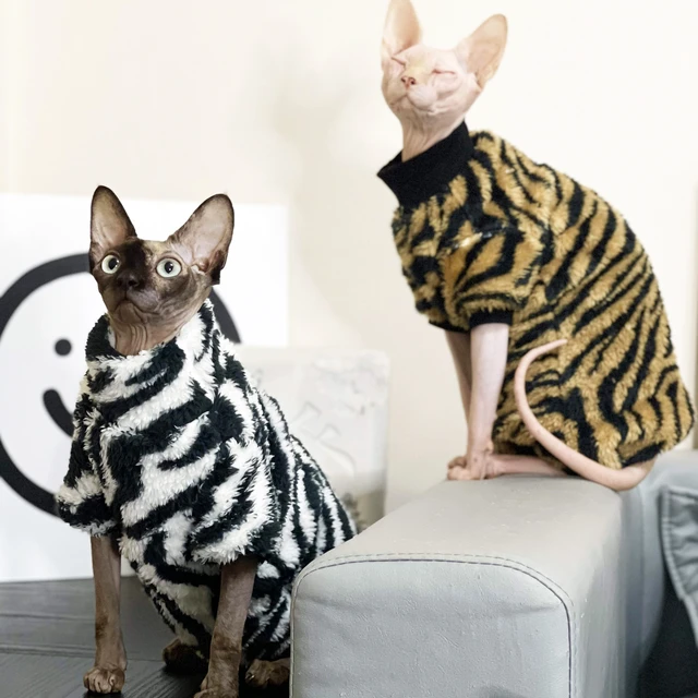 Sphynx Cat Clothes Four Legs