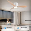 IRALAN Ceiling Fan With Light, 6-speed choice, Reversible DC motor, 3CCT, Dimmable, Whisper, Easy Install, black/White/Wood 3