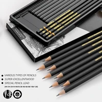 Professional Drawing Sketching Pencil Set, 12 Pieces Art Pencils Graphite Shading Pencils for Beginners & Pro Artists 3