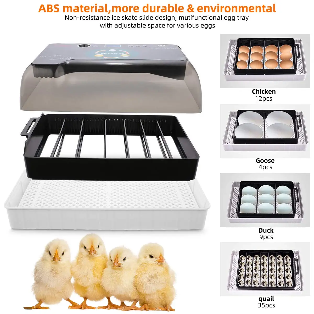 The Genesis Chamber | 12-Egg Digital Incubator with Intelligent Auto-Turning