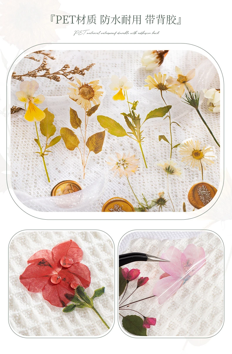 40 Stück PET-Aufkleber aus der Getrocknete Blumen-Sammlung, dekoratives, handgefertigtes Scrapbooking-Material, Tagebuch, Album, Bastelbedarf – Detail 5