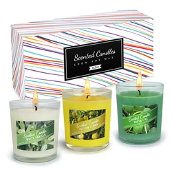 Trio of Scented Candles in Frosted Glass - Natural Soy Wax with Lavender, Gardenia, and Fir & Mint Fragrances (Park B)