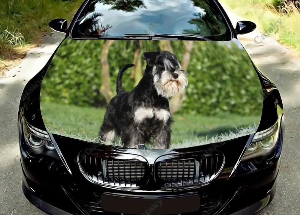 Miniature Schnauzer Dog Car Hood Wrap Color Vinyl Sticker Decal Truck Graphic Bonnet Custom Car Decoration Stickers 1