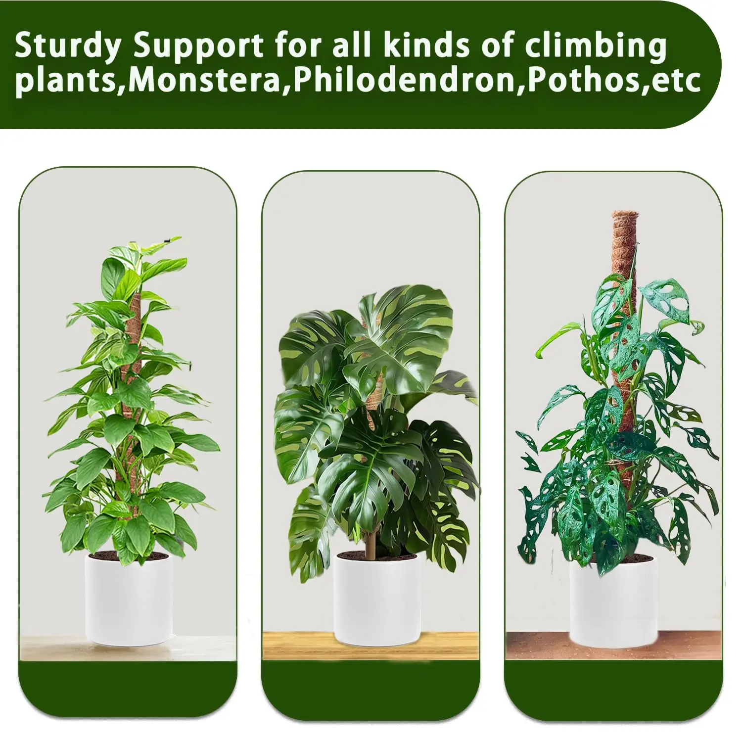 Moss Pole 38/43/53CM Monstera Plant Support Stackable Moss Poles for Plants Coir Totem Pole Tall for Climbing Plants