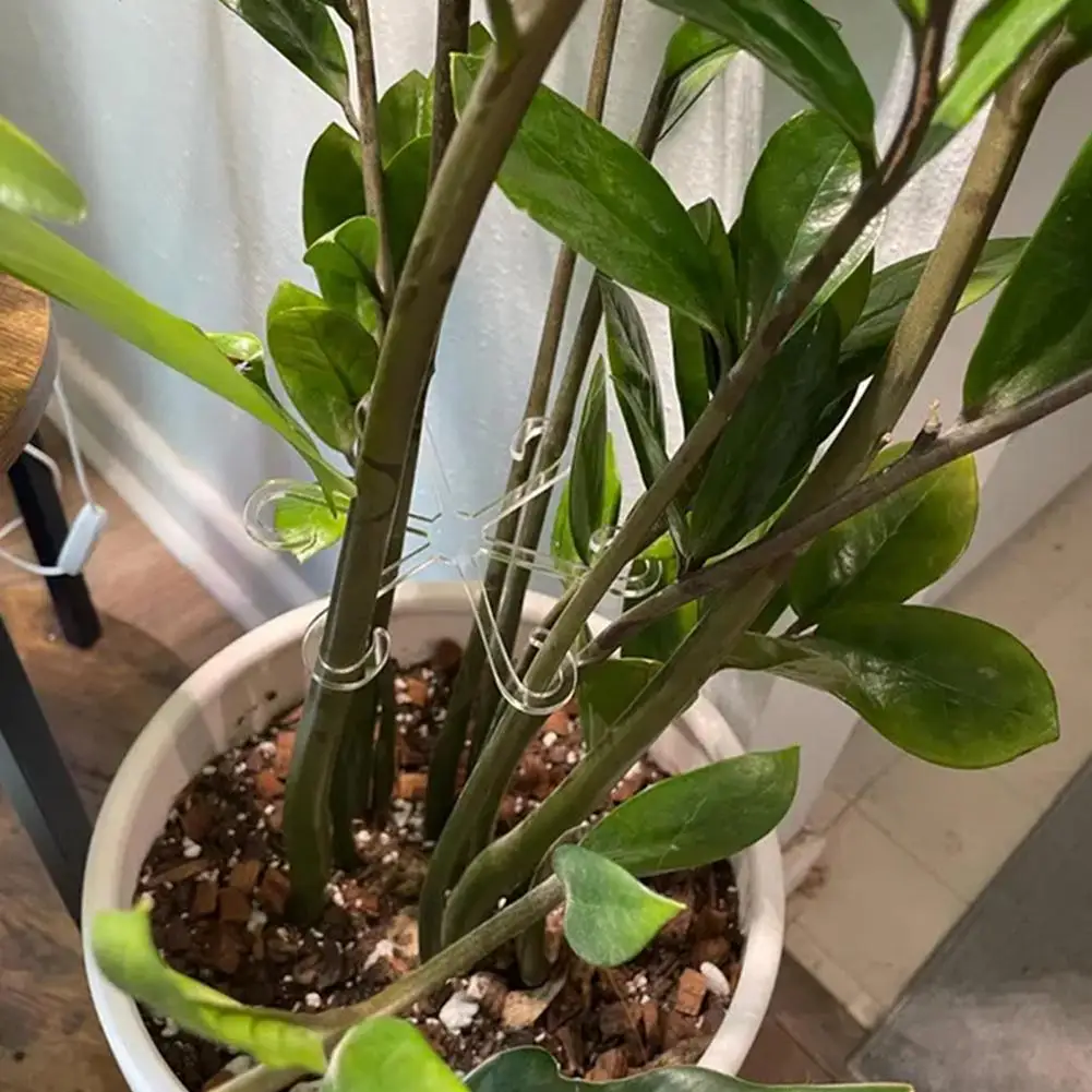 High-quality Plant Stand Plant Stem Supports for Climbing Houseplants Reusable Acrylic Holders Stakes for Indoor Vines